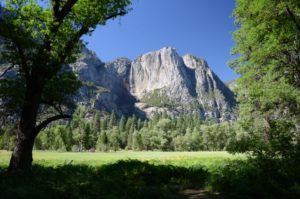 43 Yosemite 4